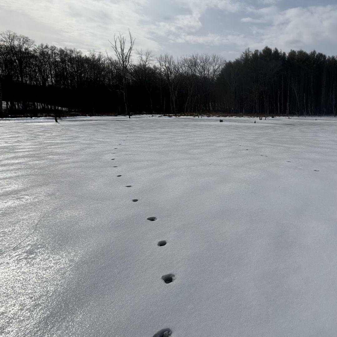 Embracing Winter's Beauty + Giving Back